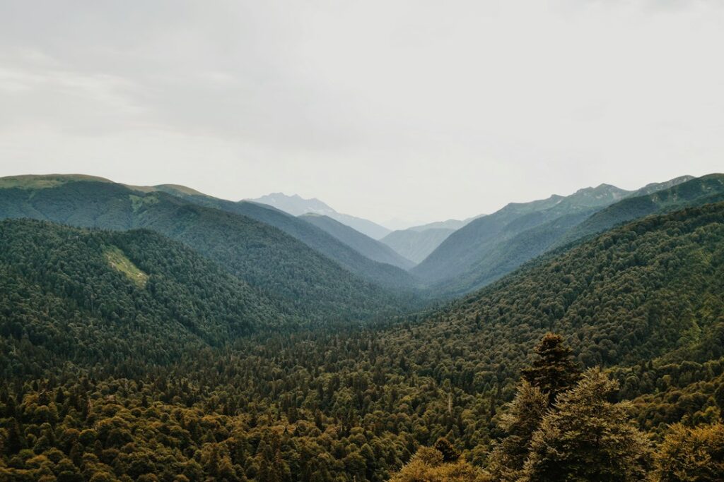 Green mountains illustrating the natural retreat setting