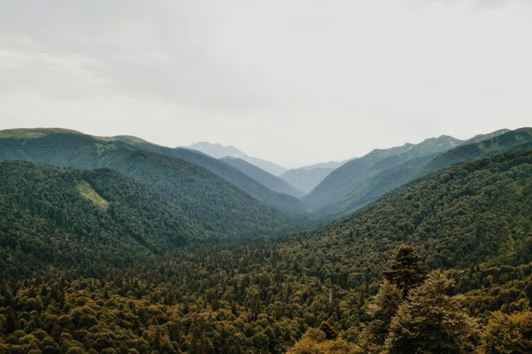 Green mountains illustrating the natural retreat setting
