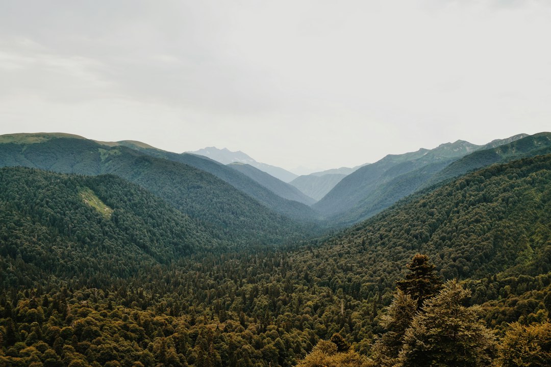 Green mountains illustrating the natural retreat setting