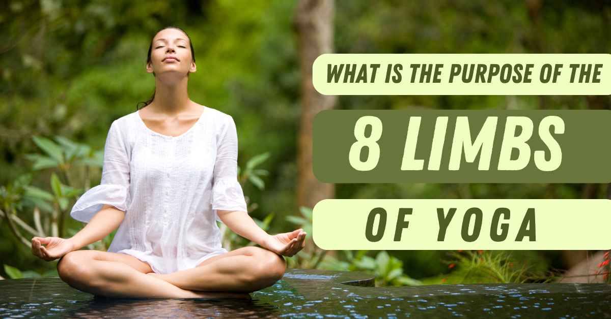 What is the purpose of the 8 limbs of yoga?