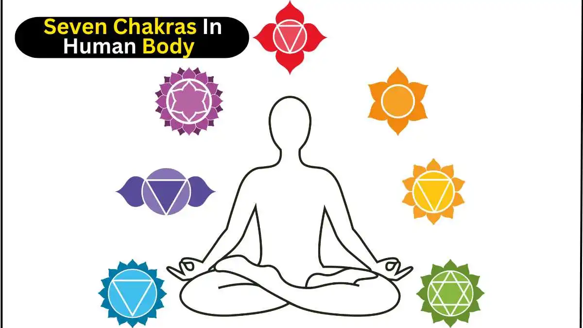 Seven Chakras in Your Body: What They Are & Why They Matter