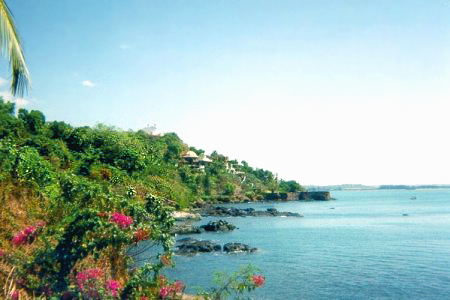 Aerial view of the Goa coastline in India